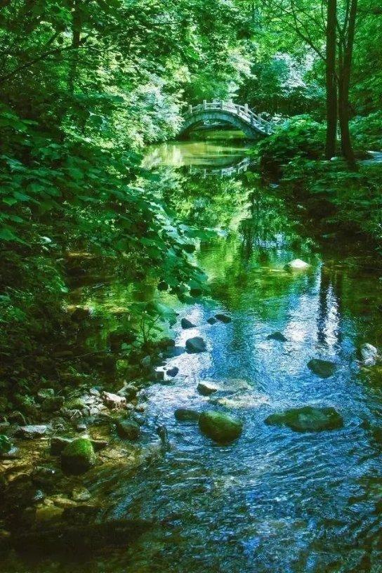 逃离拇指山地