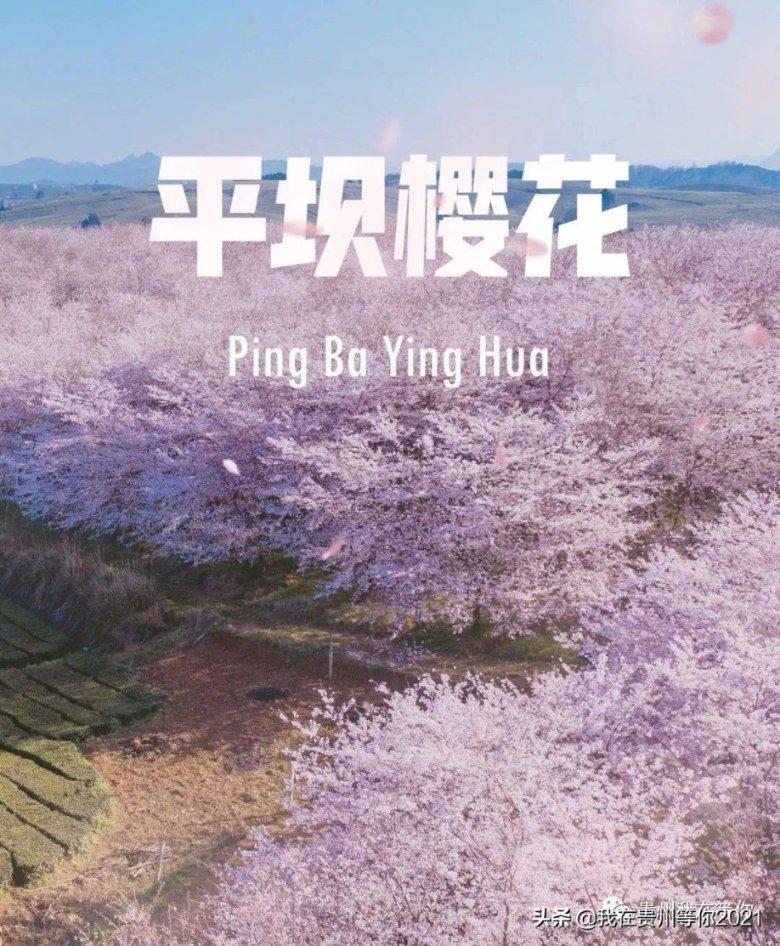 关于山西特产的说明文 ！游戏画面