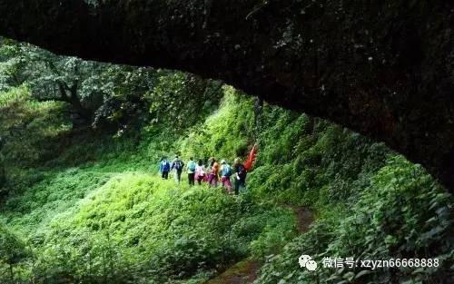 召唤神龙万宁版祖龙