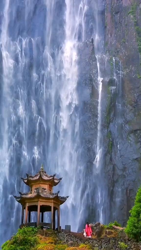 亲爱的金主大人
